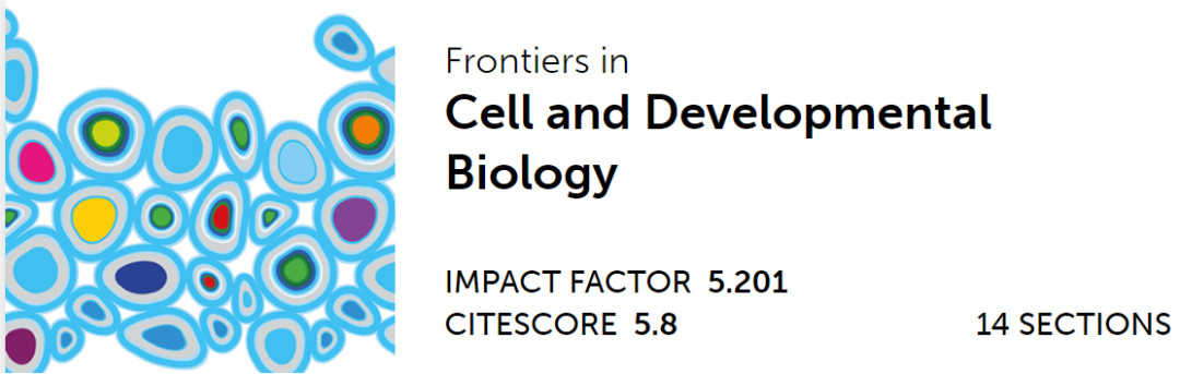 心臟病醫(yī)院王海昌院長(zhǎng)科研團(tuán)隊(duì)在心肌病研究領(lǐng)域有新突破！