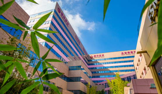 國醫(yī)四味：竹林、紫杉、桂花、銀杏，還有那……