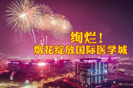 絢爛！煙花綻放國際醫(yī)學(xué)城